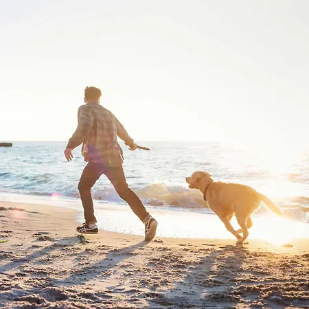 Appartement Moderne 5-sterne-ferienwohnung 